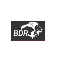BDR Pharmaceuticals Internationals Pvt. Ltd.